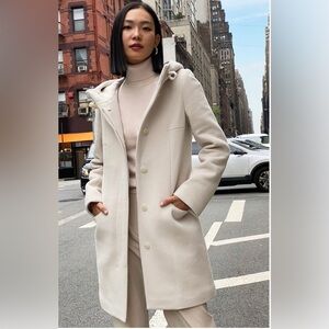 Aritzia Wool Coat
